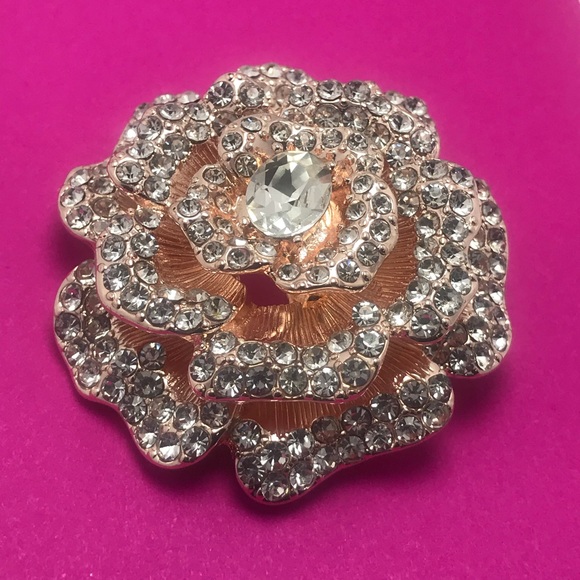 Jewelry - Beautiful Statement Pin